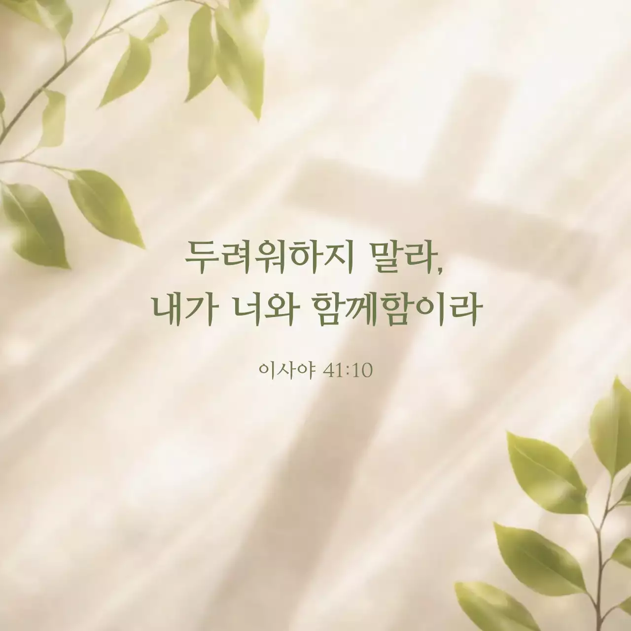 성스러운 햇살의 십자가 명언