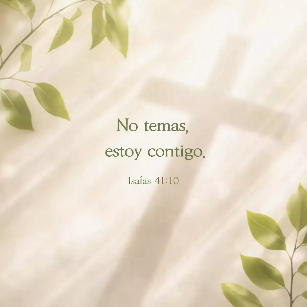 Citas de la Santa Cruz del Sol