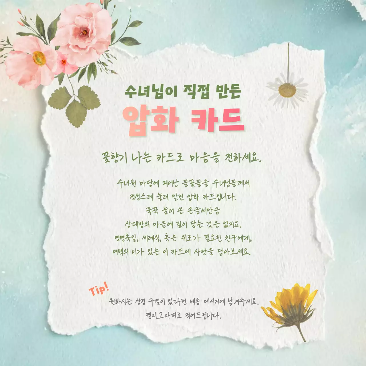 분홍색 심플 압화 카드 안내