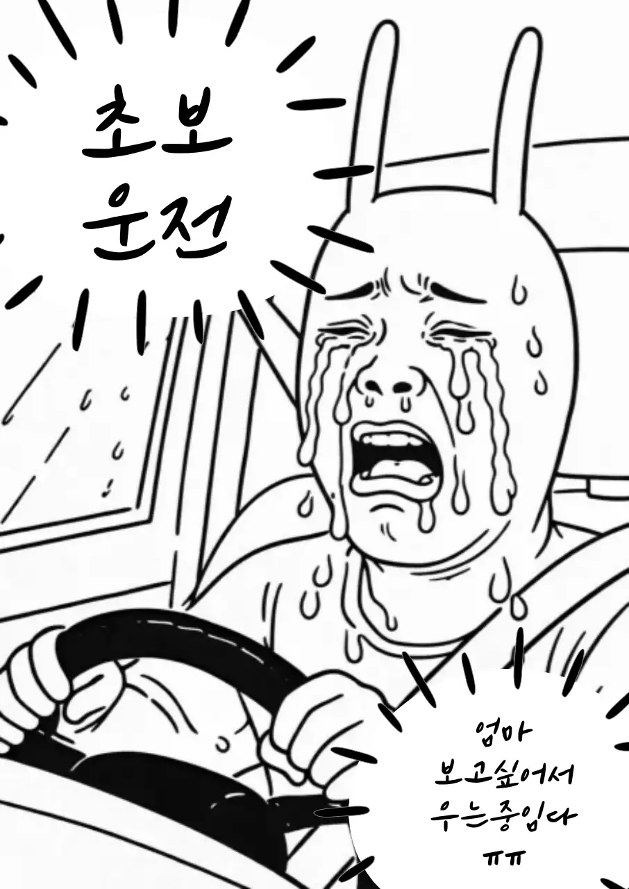 흑백 병맛 초보운전 안내