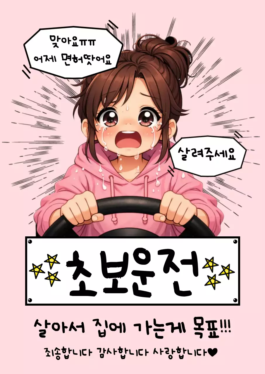 핑크 아기자기한 초보운전 안내