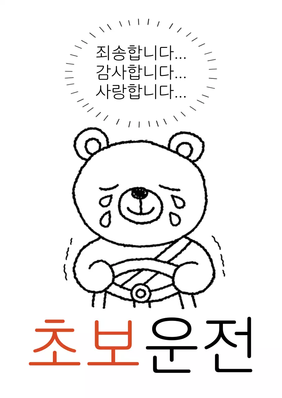 흑백 단순 초보운전 안내