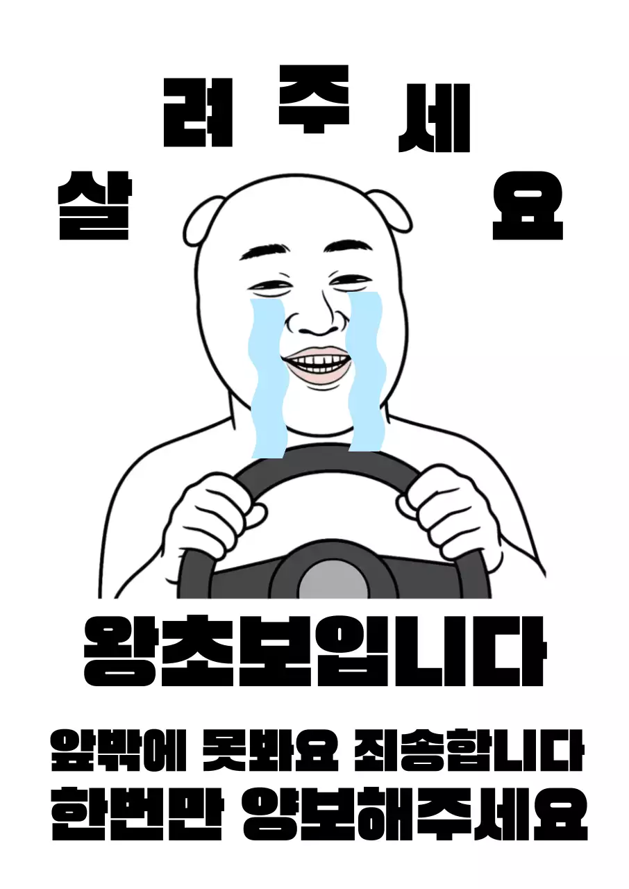 흑백 깔끔 운전 초보 안내