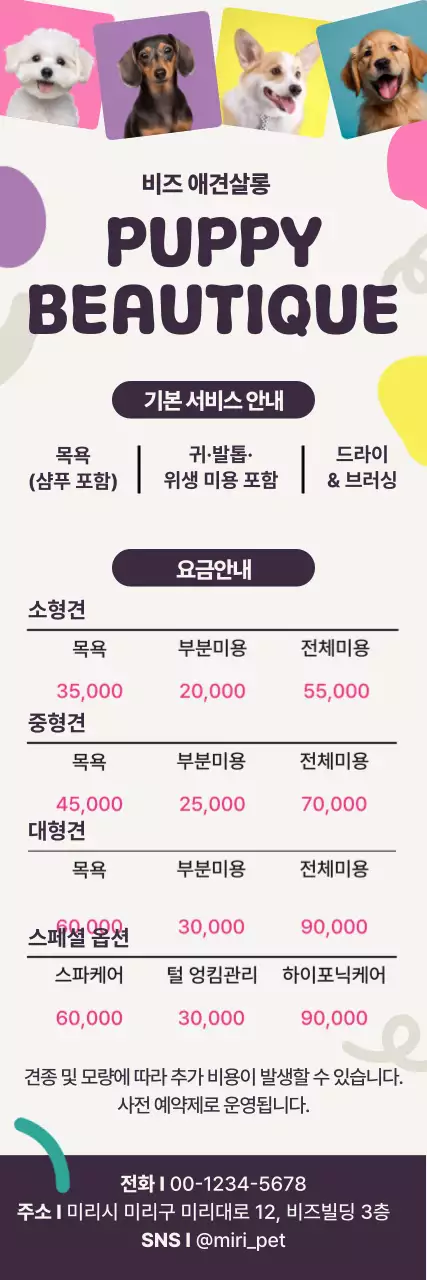 노랑 깔끔 반려동물 미용 안내