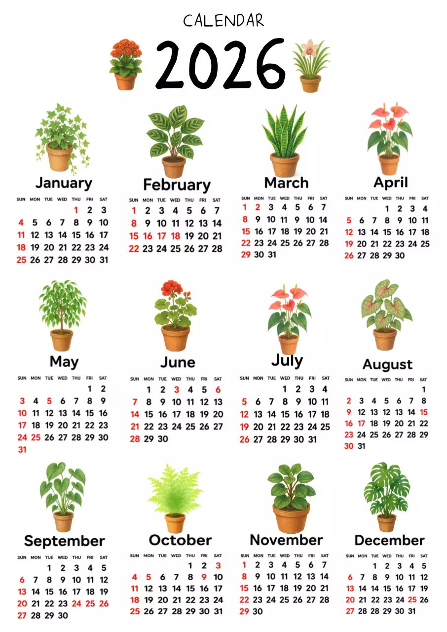 흰색 심플 식물 달력 안내