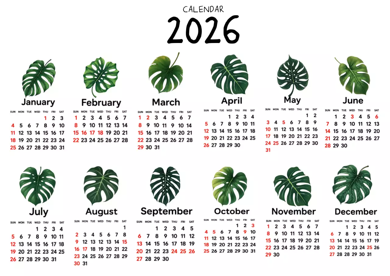 초록 미니멀 2026년 달력 안내