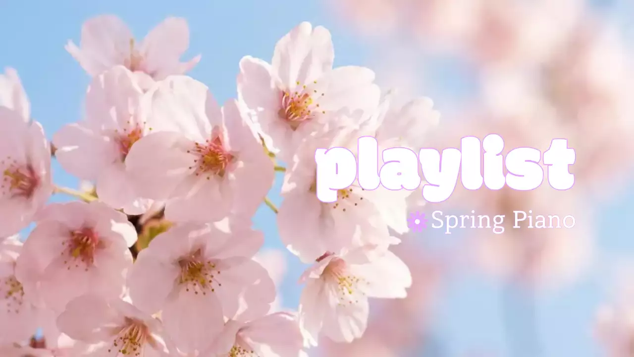 분홍색 심플 봄 플레이리스트