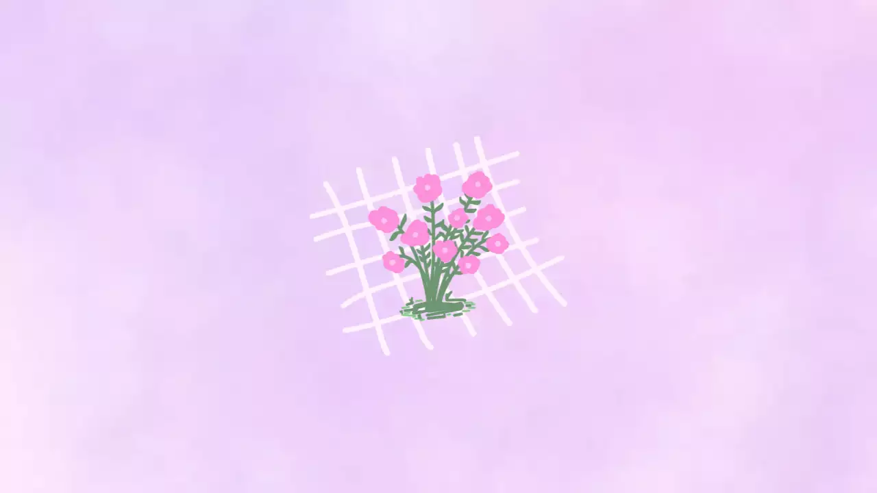 연보라 단순 꽃 일기