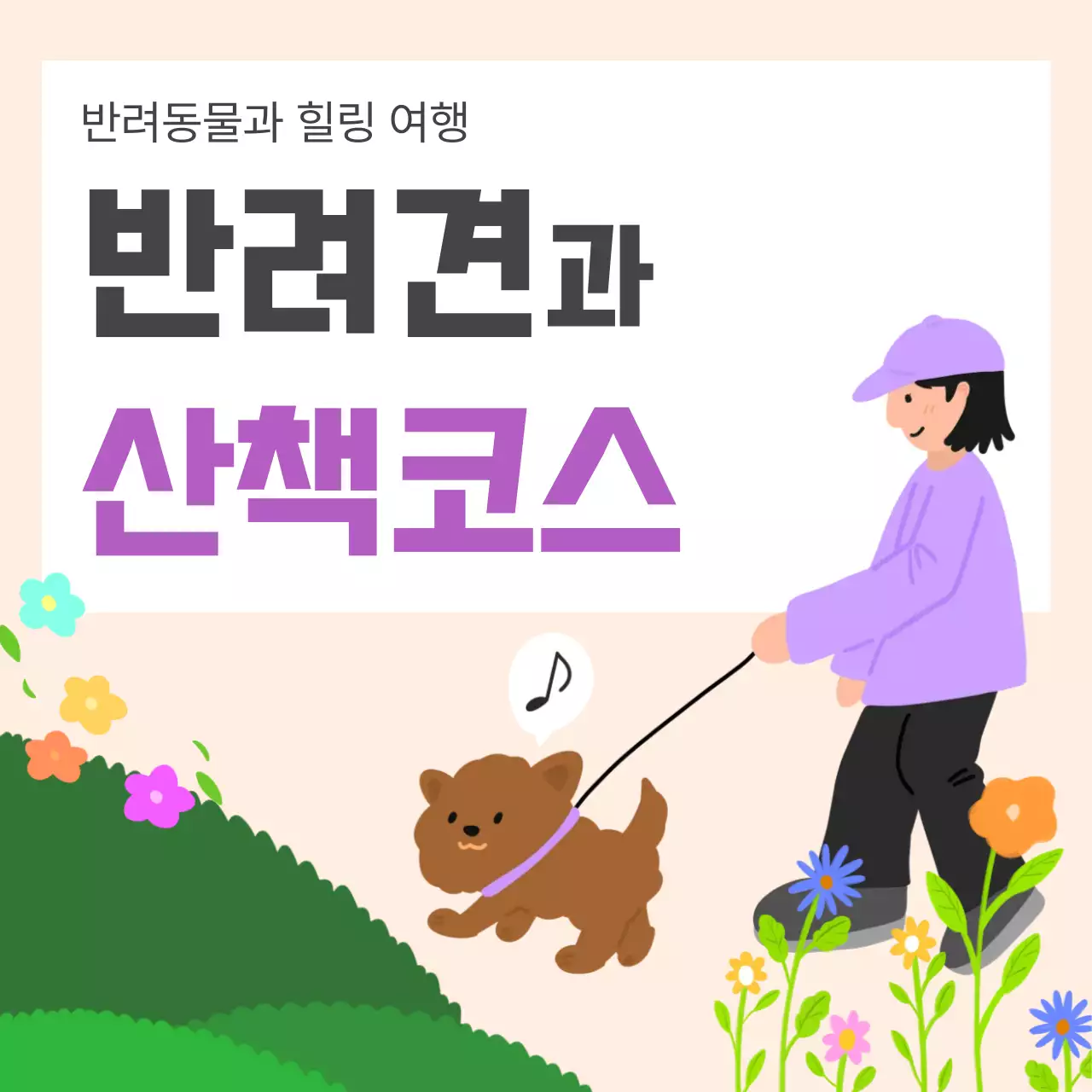 보라 아기자기한 반려견 산책코스 안내