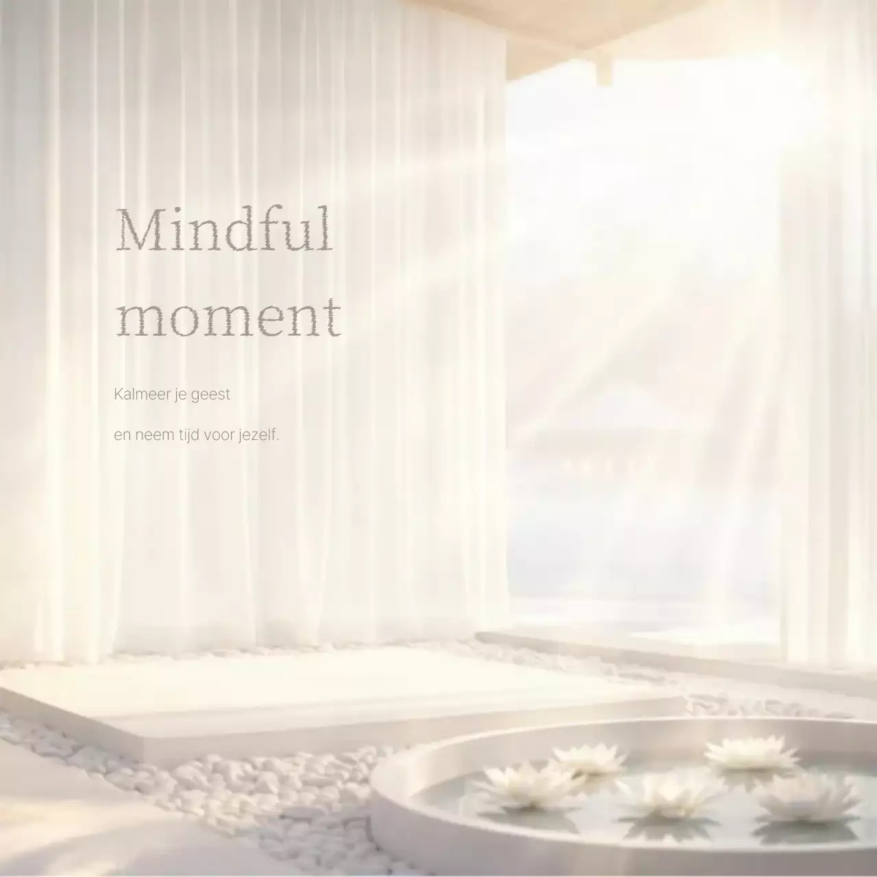 Ivoren minimalistische meditatiegids