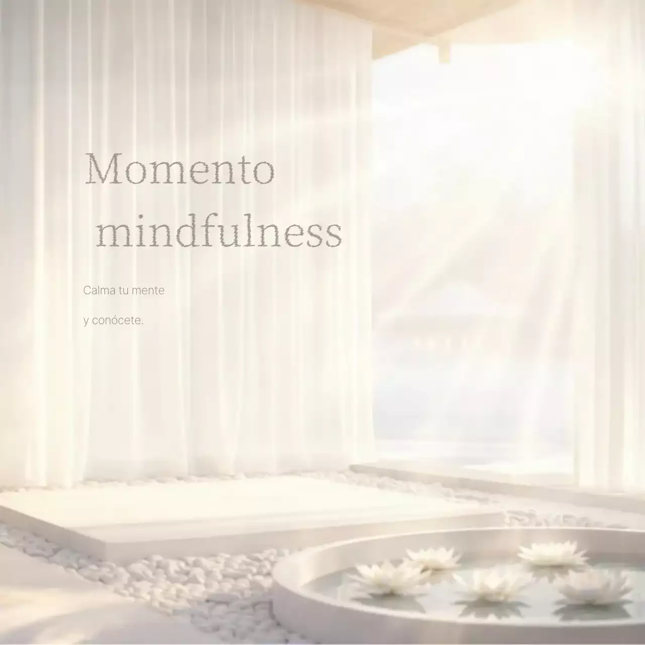 Guía de meditación minimalista de Ivory
