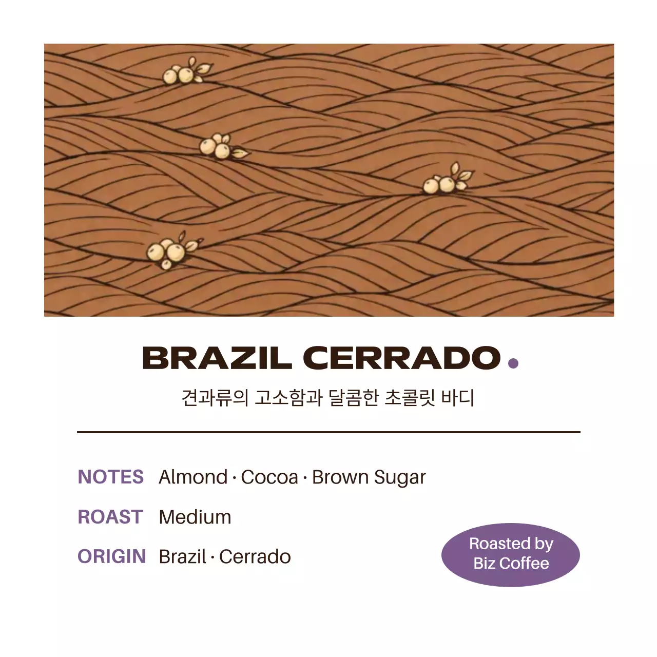 갈색 심플 커피 원두 제품 홍보