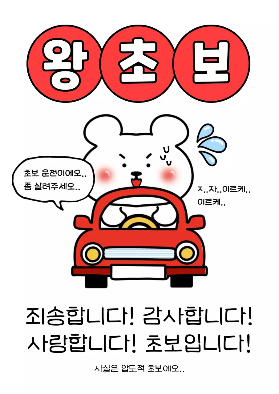 빨강 깔끔 초보운전 안내