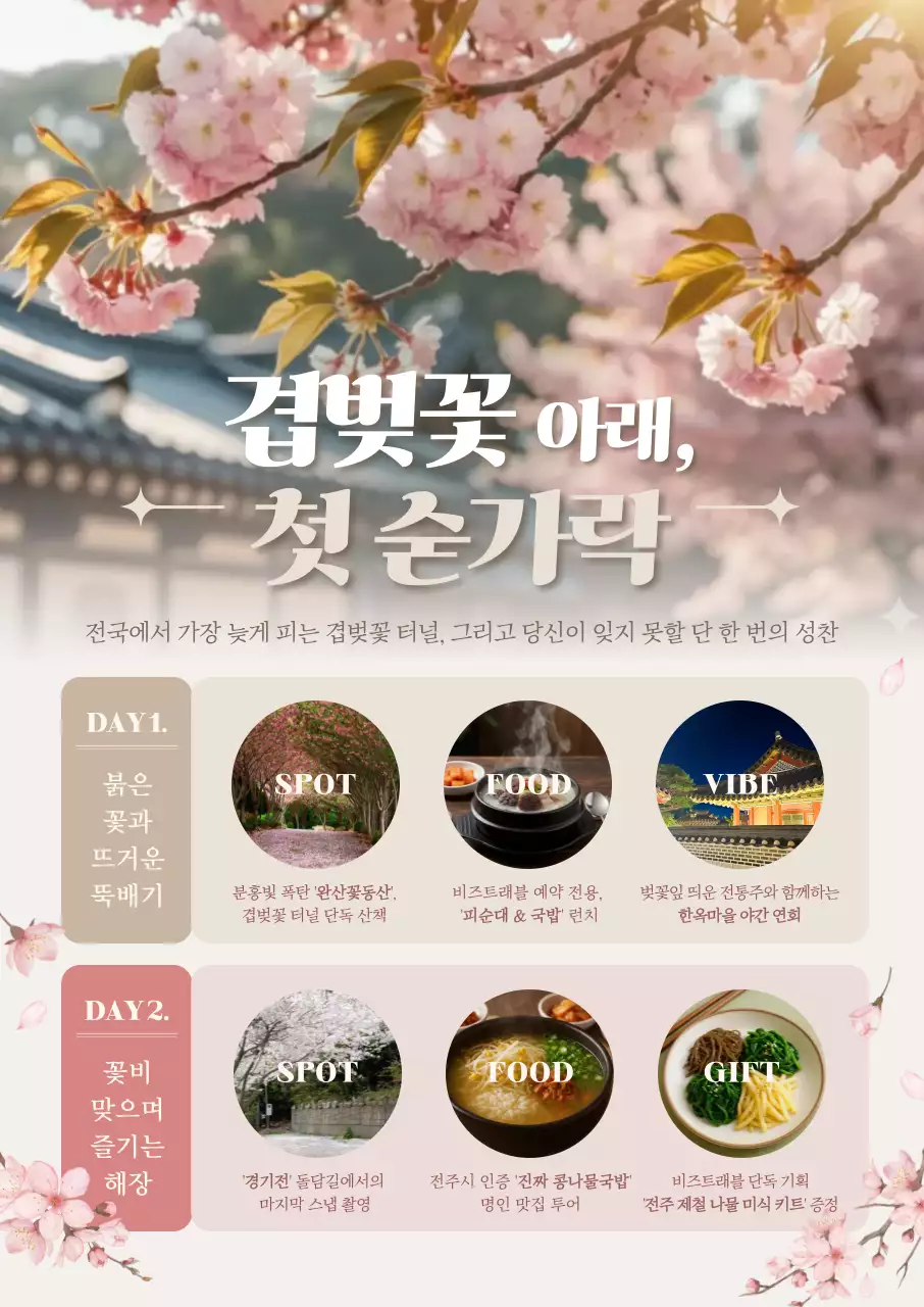 분홍색 깔끔 겹벚꽃 축제 안내