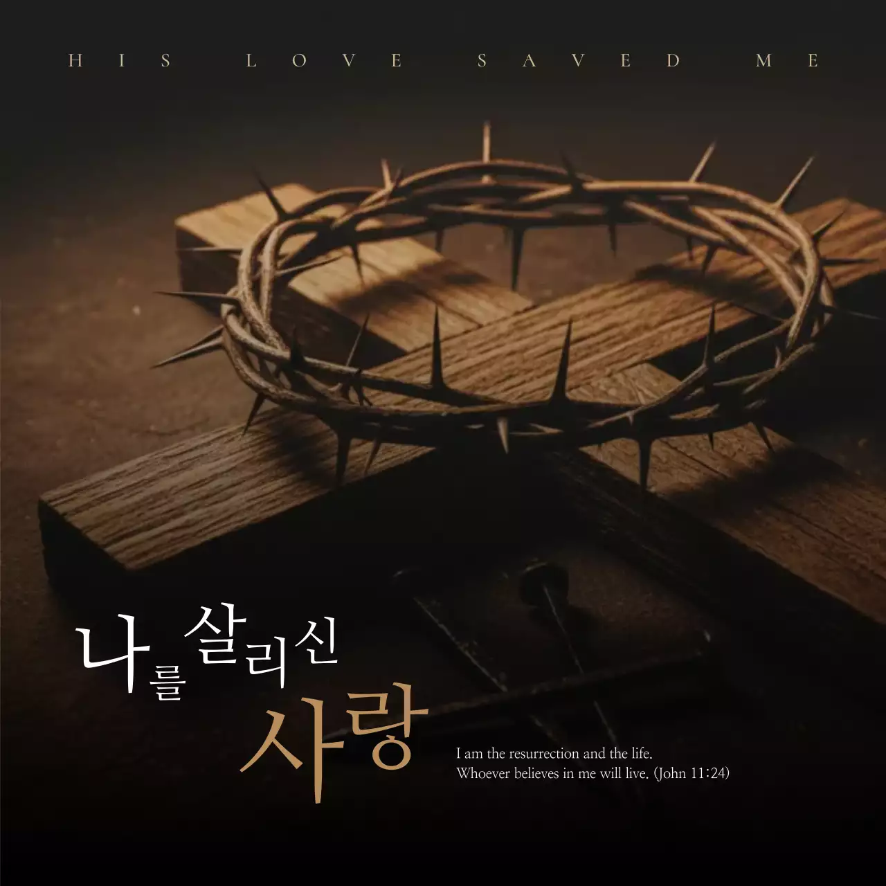 Panduan Iman Kristen Tingkat Lanjut Brown