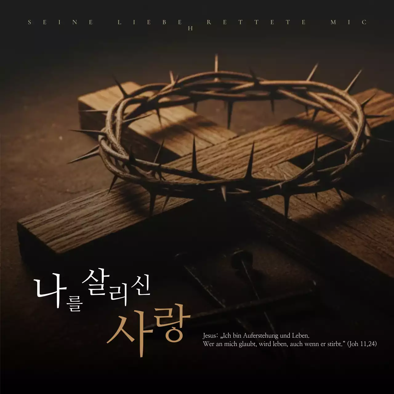 Brown Advanced Christian Faith Guide