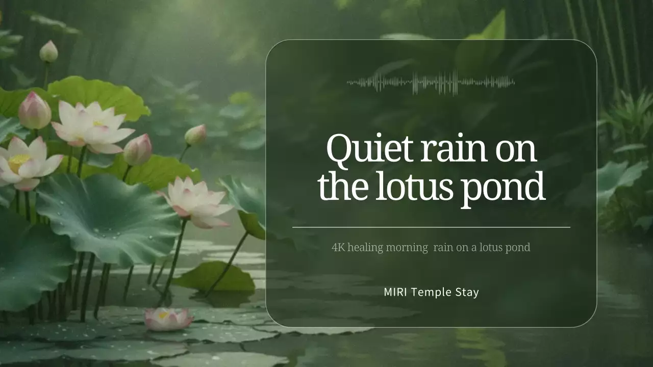 녹색 미니멀리스트 명상 가이드