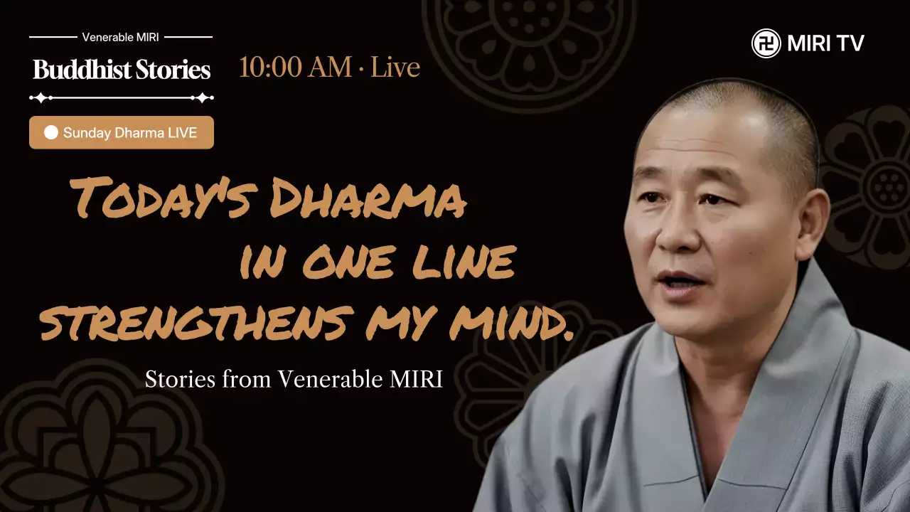 갈색 전통 불교 강의