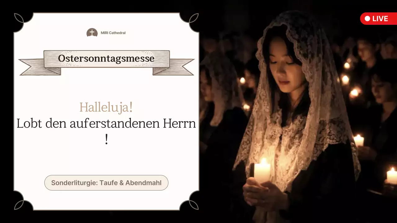 Beige Clean Oster-Service-Leitfaden