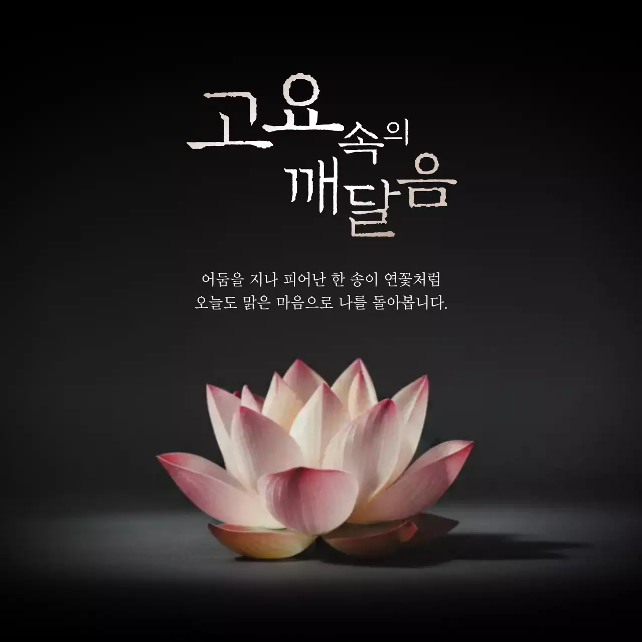 분홍 심플 깨달음 명상