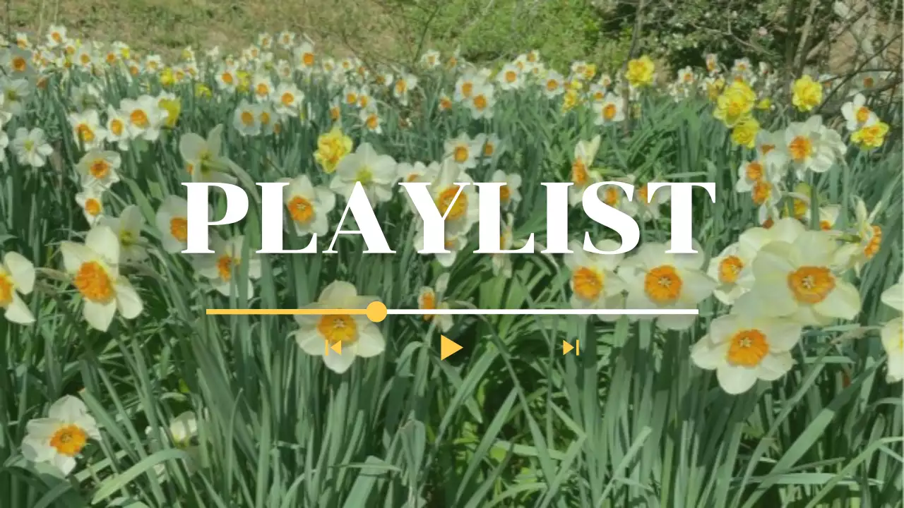 노랑 깔끔 봄꽃 음악재생목록