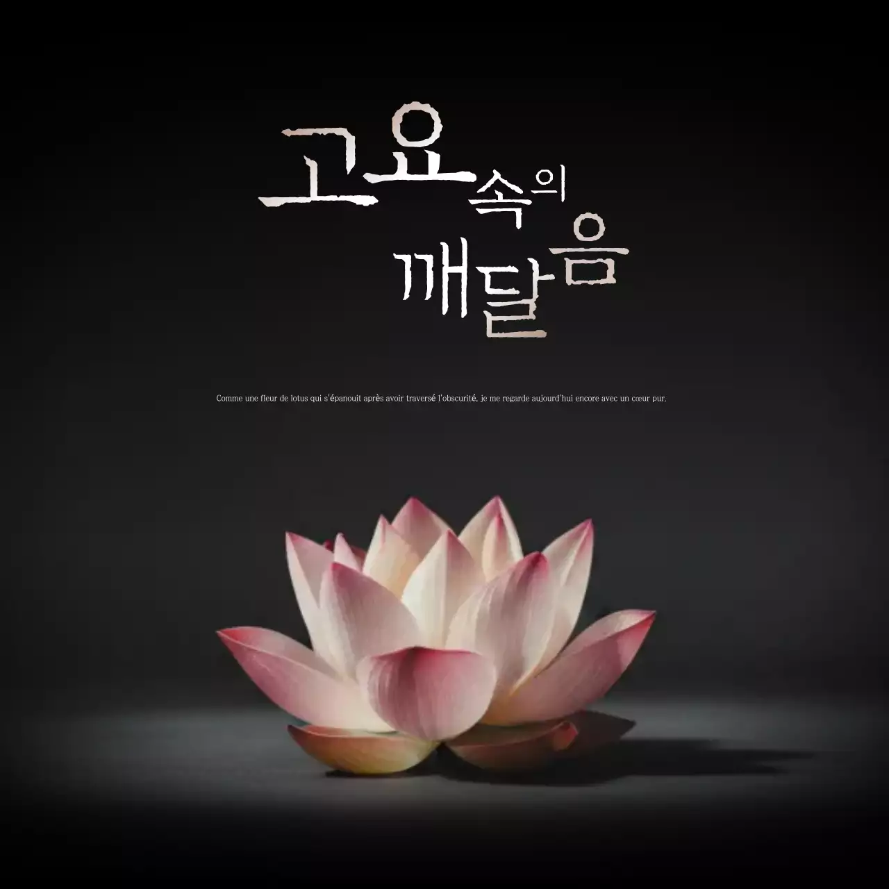 Méditation d'illumination simple rose