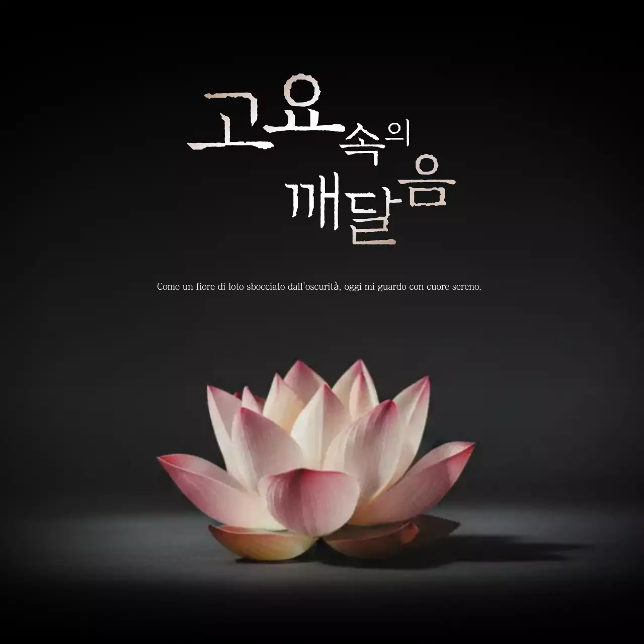 Meditazione di illuminazione semplice rosa