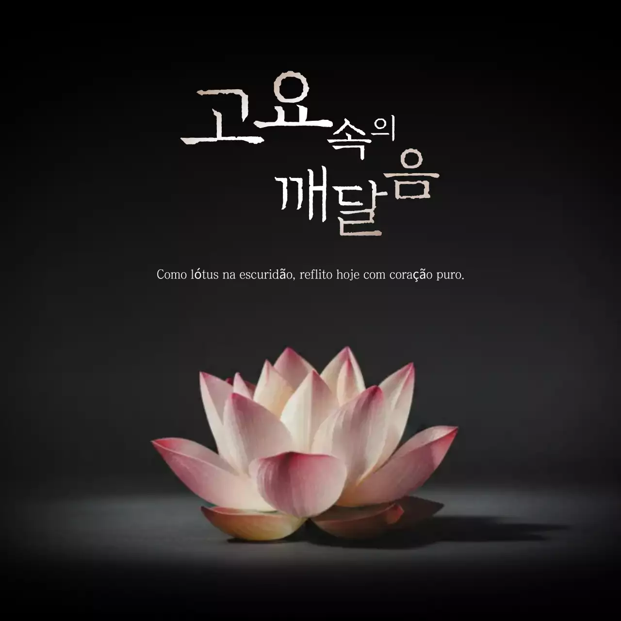 Meditação Rosa Simples para a Iluminação