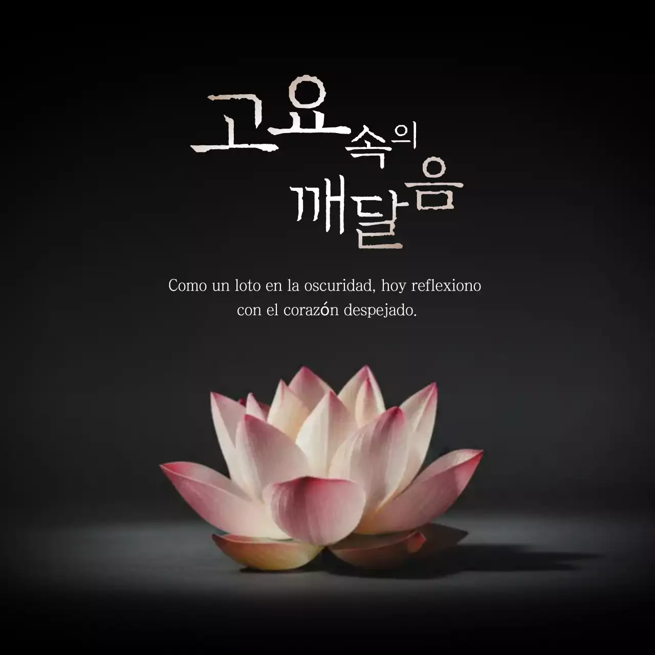 Meditación de iluminación simple rosa