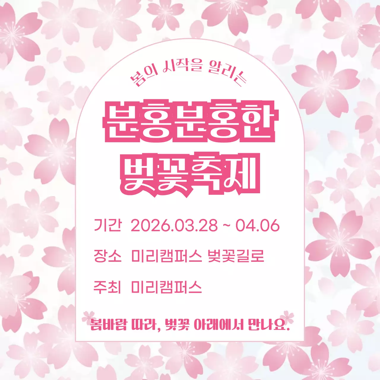 분홍색 심플 벚꽃축제 안내