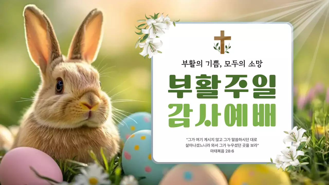 연두 심플 부활주일 감사예배 안내