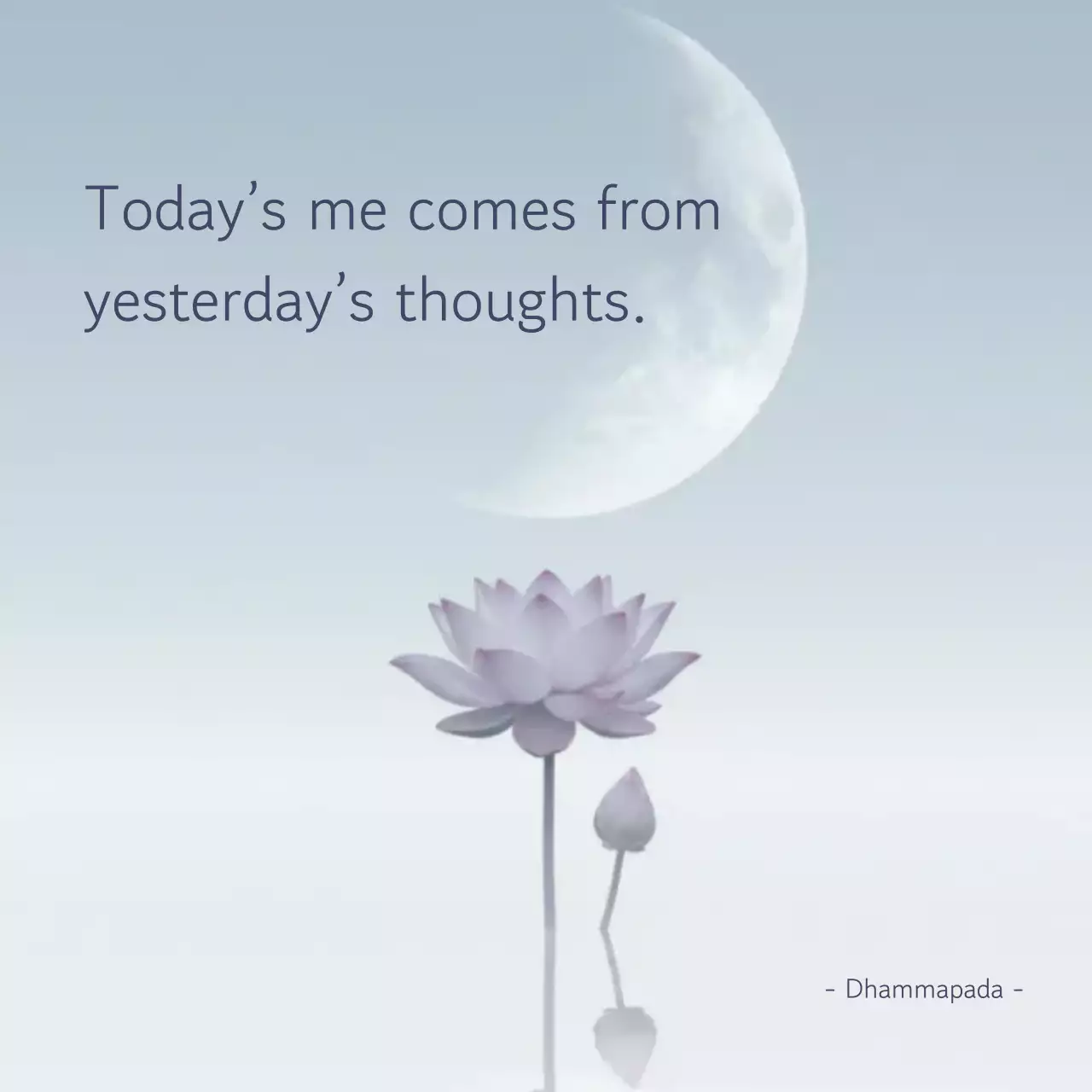 Meditasi Minimalis Bunga Teratai dalam Warna Ungu