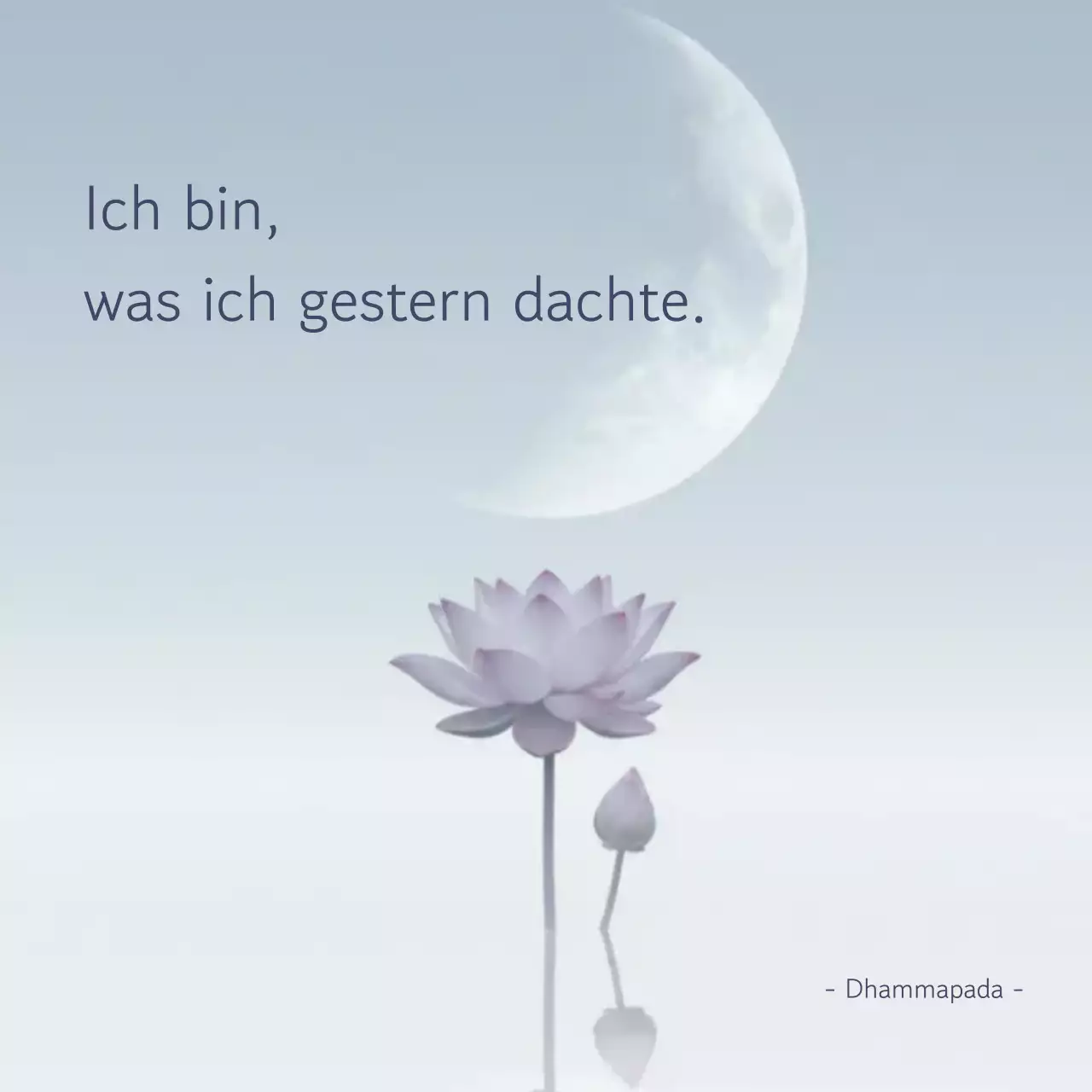 Lotusblume – Minimalistische Meditation in Lila