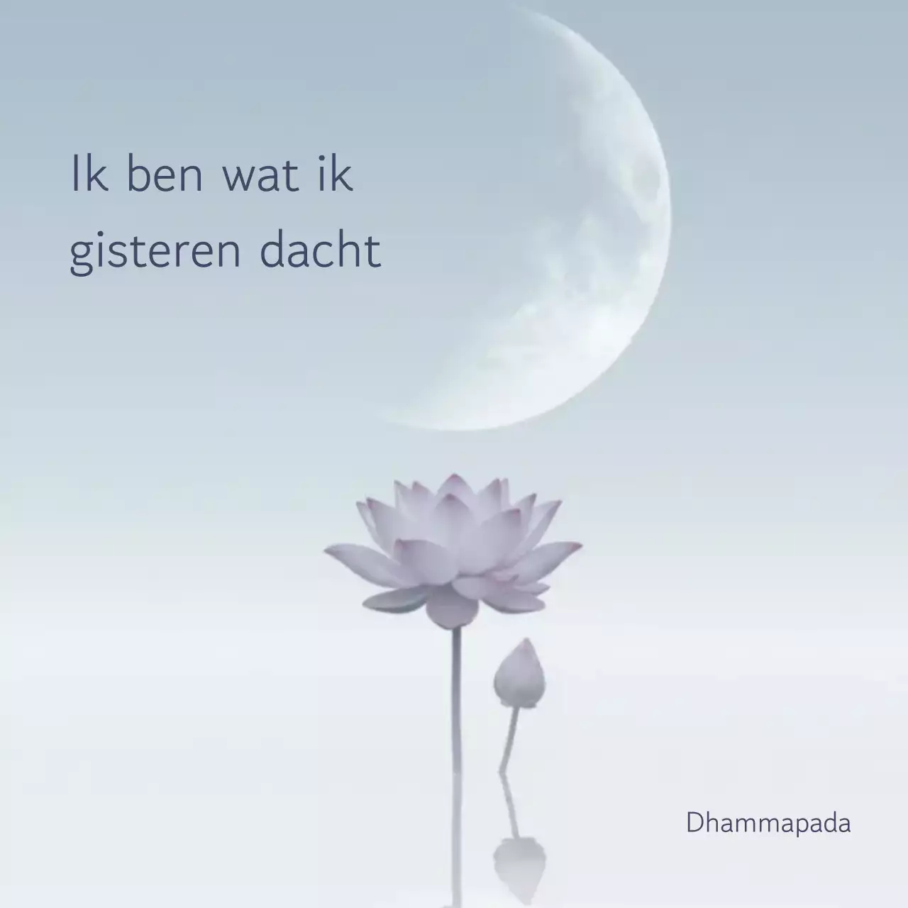 Minimalistische meditatie met lotusbloem in paars