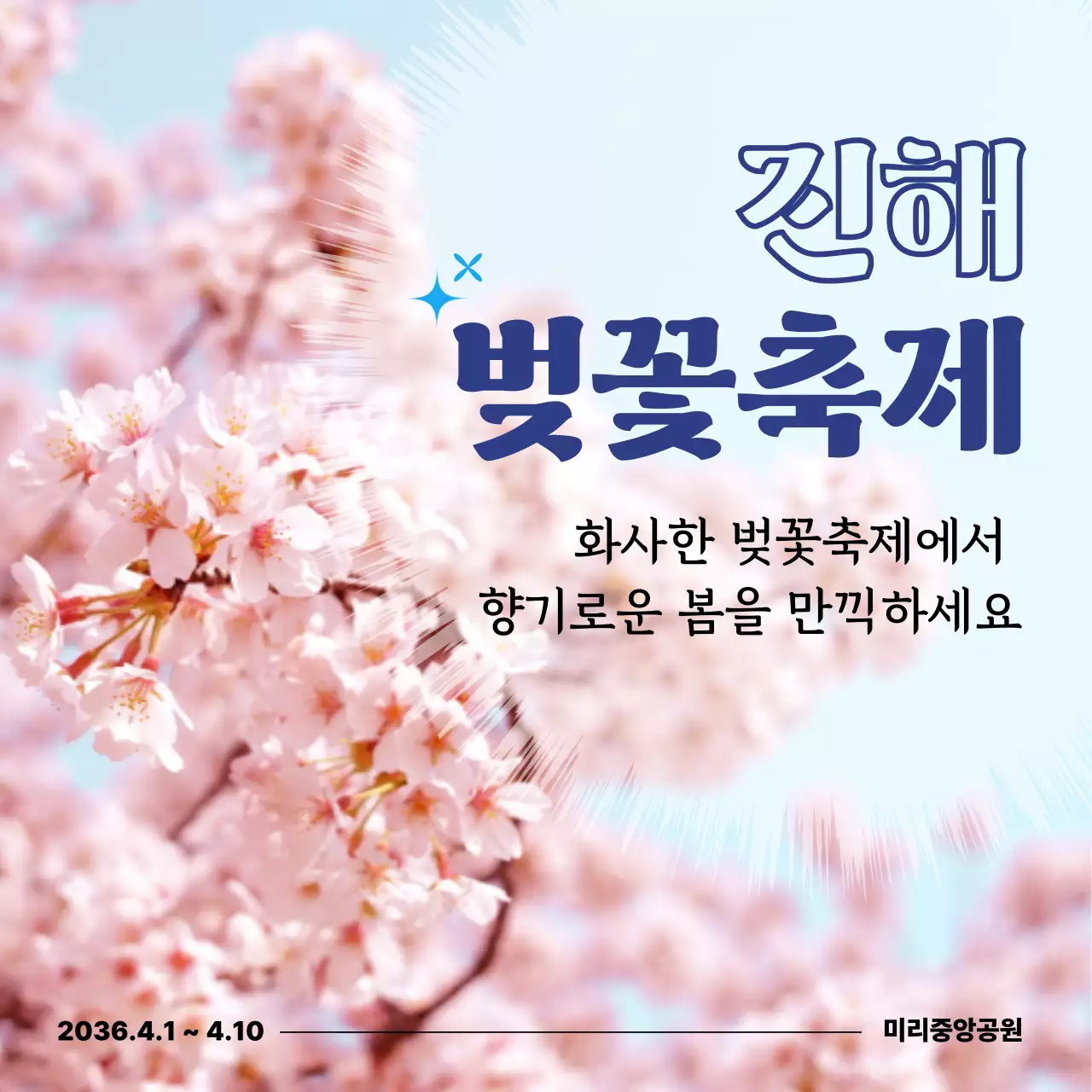분홍색 깔끔 벚꽃축제 안내