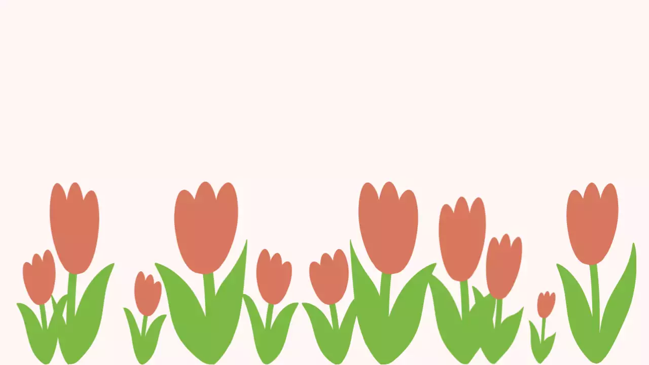 빨간색 귀여운 꽃 엽서