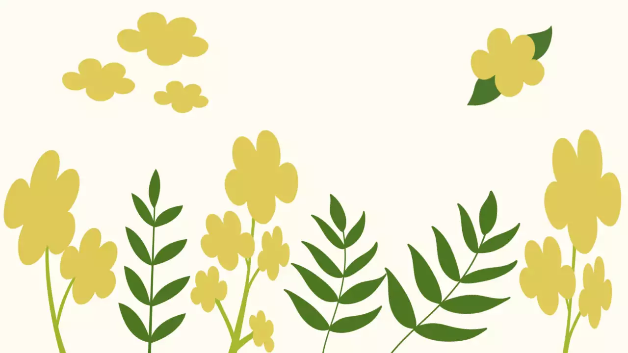 노란색 귀여운 유채꽃 엽서