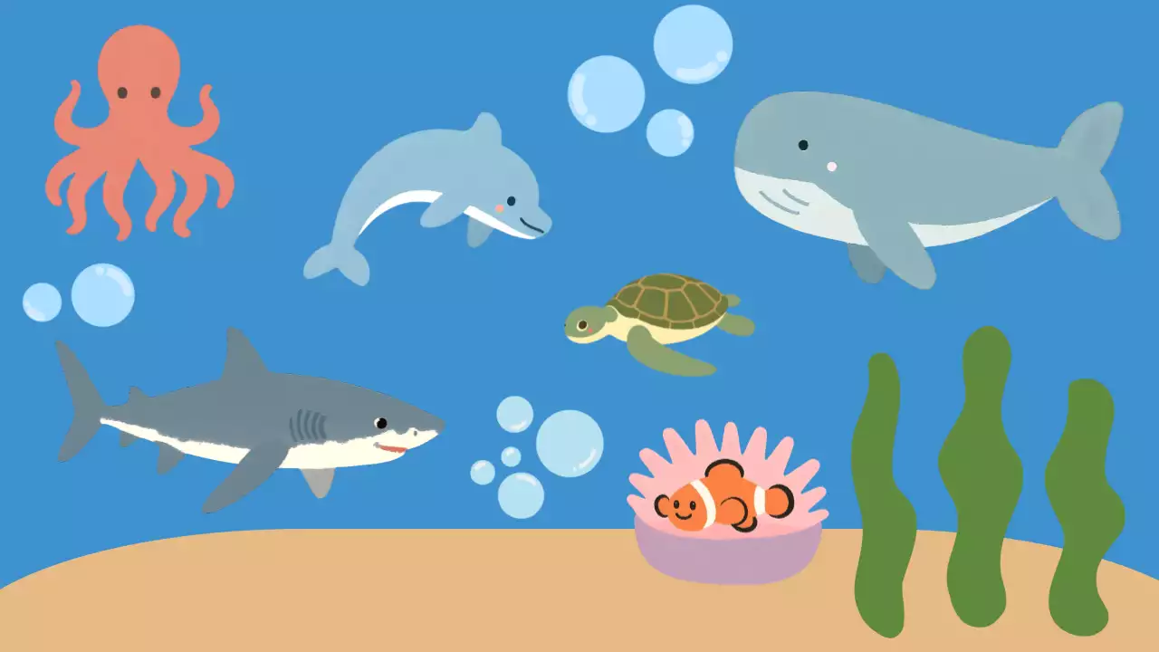 남색 귀여운 바닷속 엽서