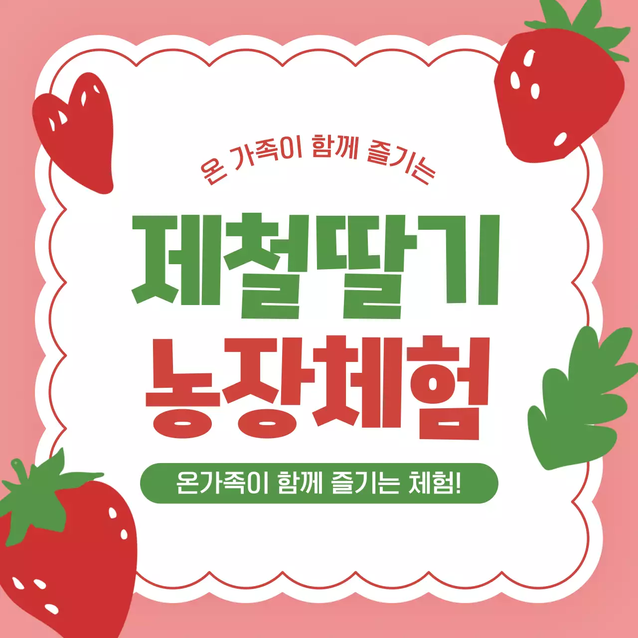 빨강 아기자기한 딸기 농장체험 안내