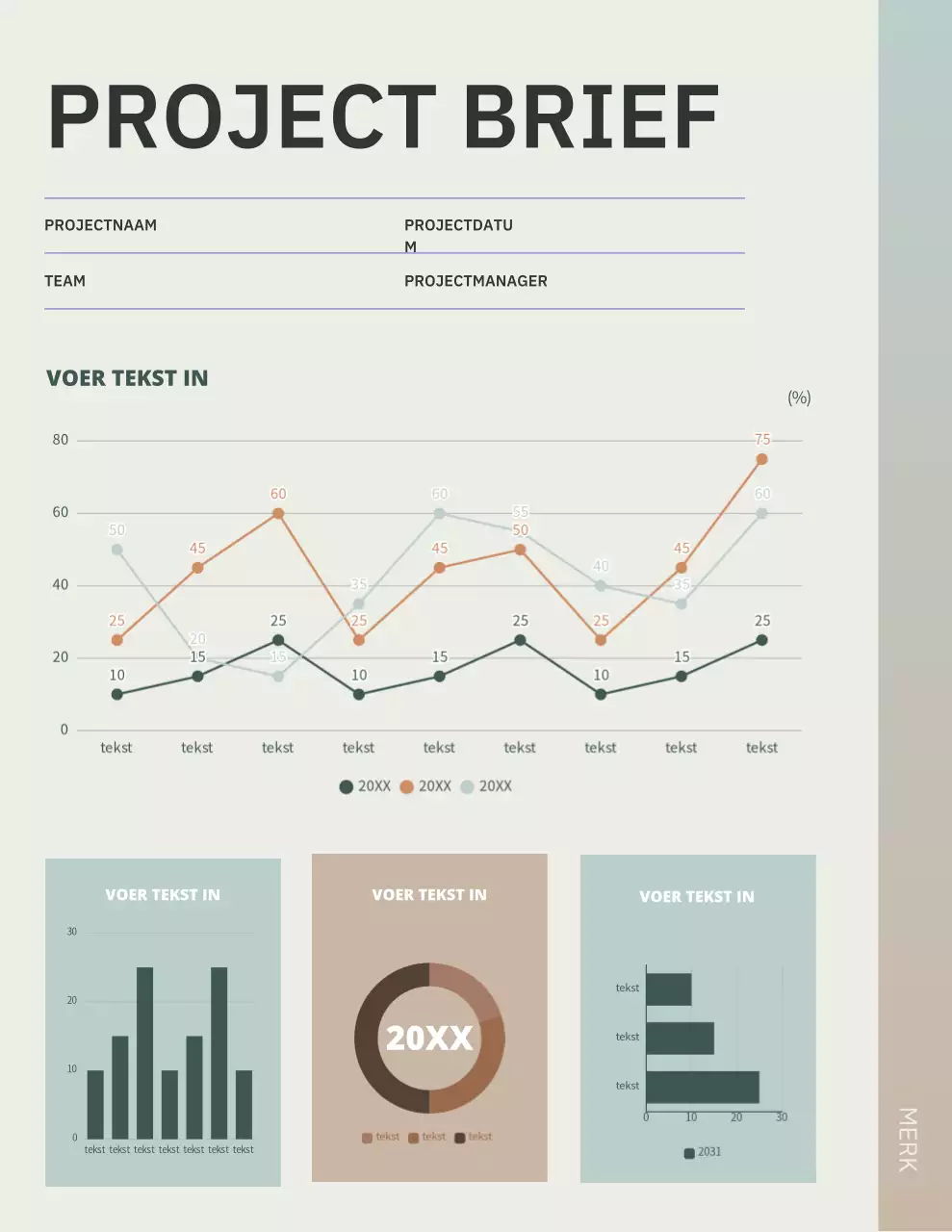 Beige Modern Projectplan Document Document Poster