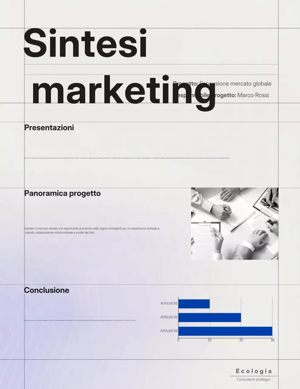 Documento del piano aziendale professionale viola