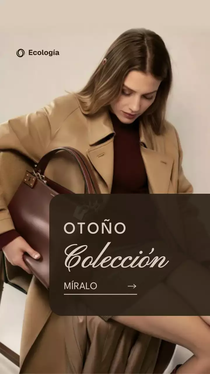 Publicidad de moda elegante en beige Historia de Instagram