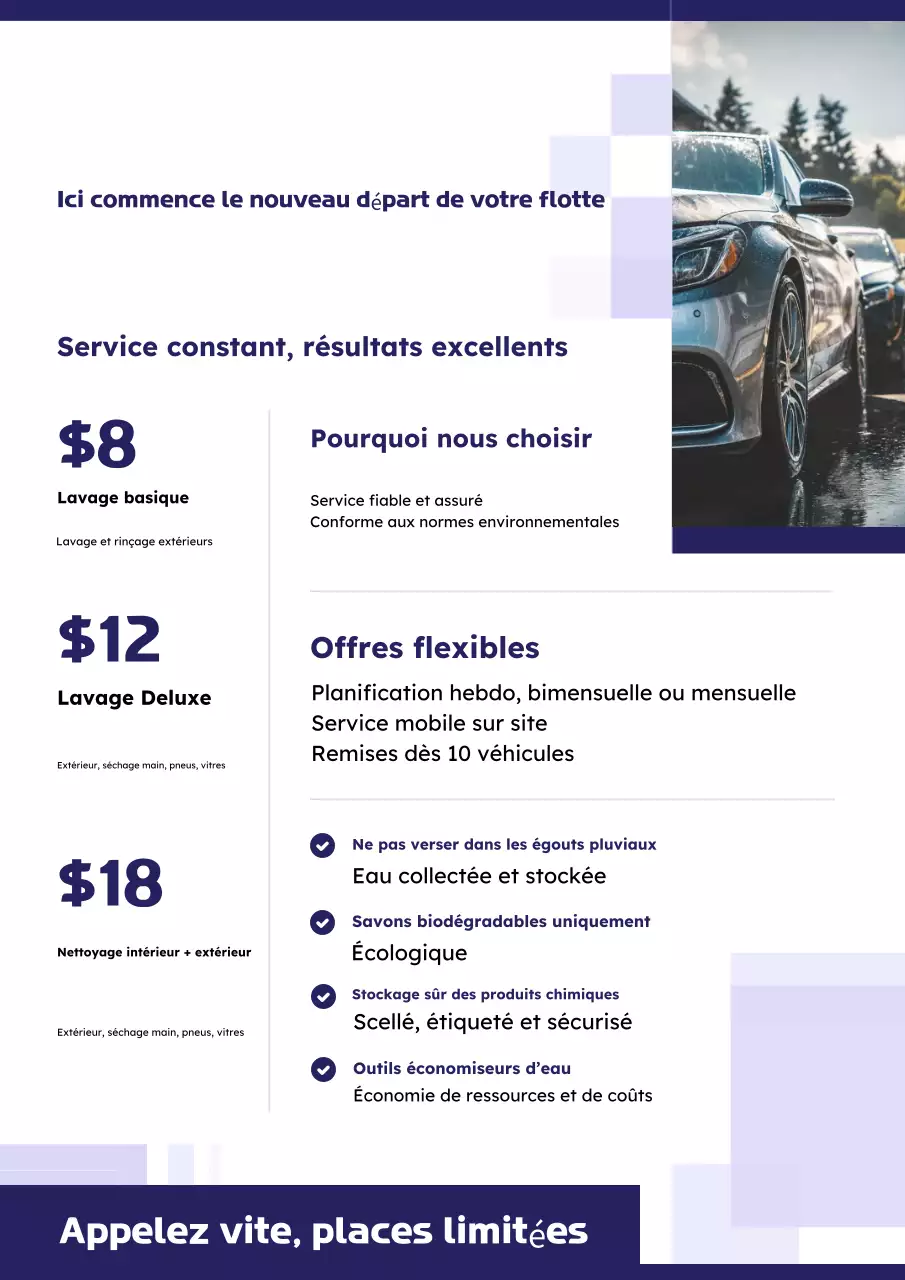 Affiche de proposition de Fleet Wash violet et vert citron