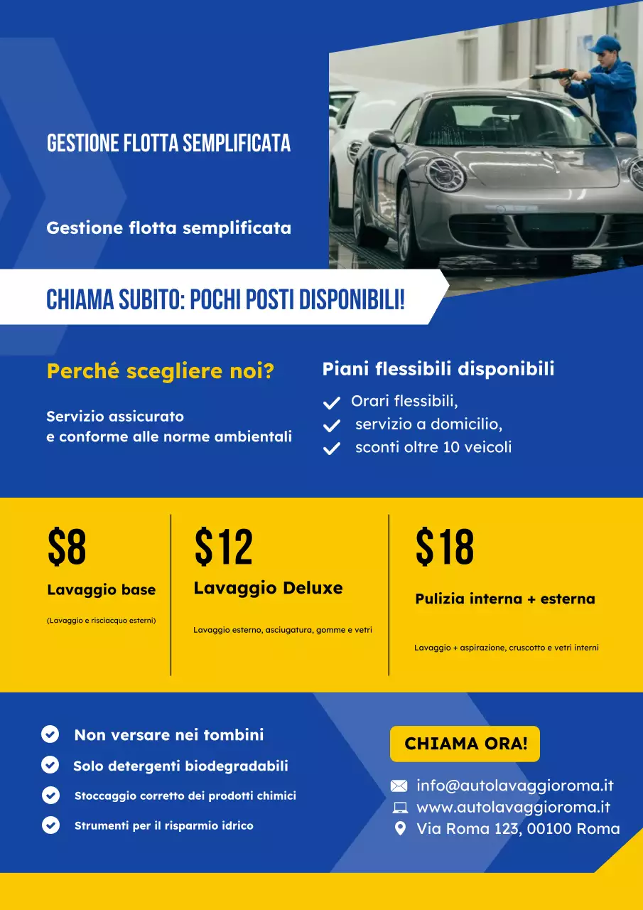 Manifesto di proposta per il lavaggio della flotta blu e giallo