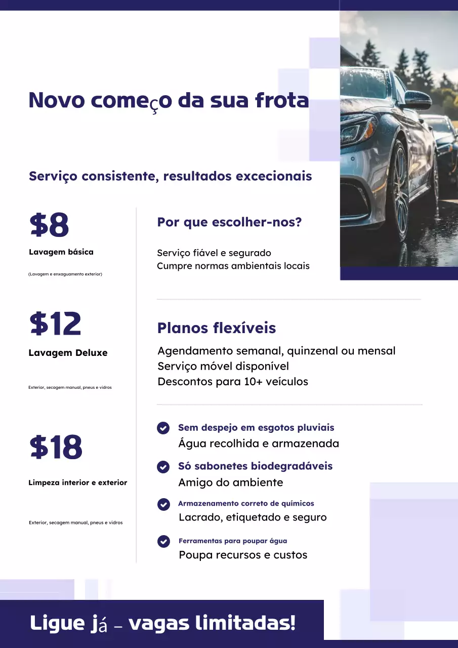 Cartaz de proposta de lavagem de frota em roxo e verde-limão