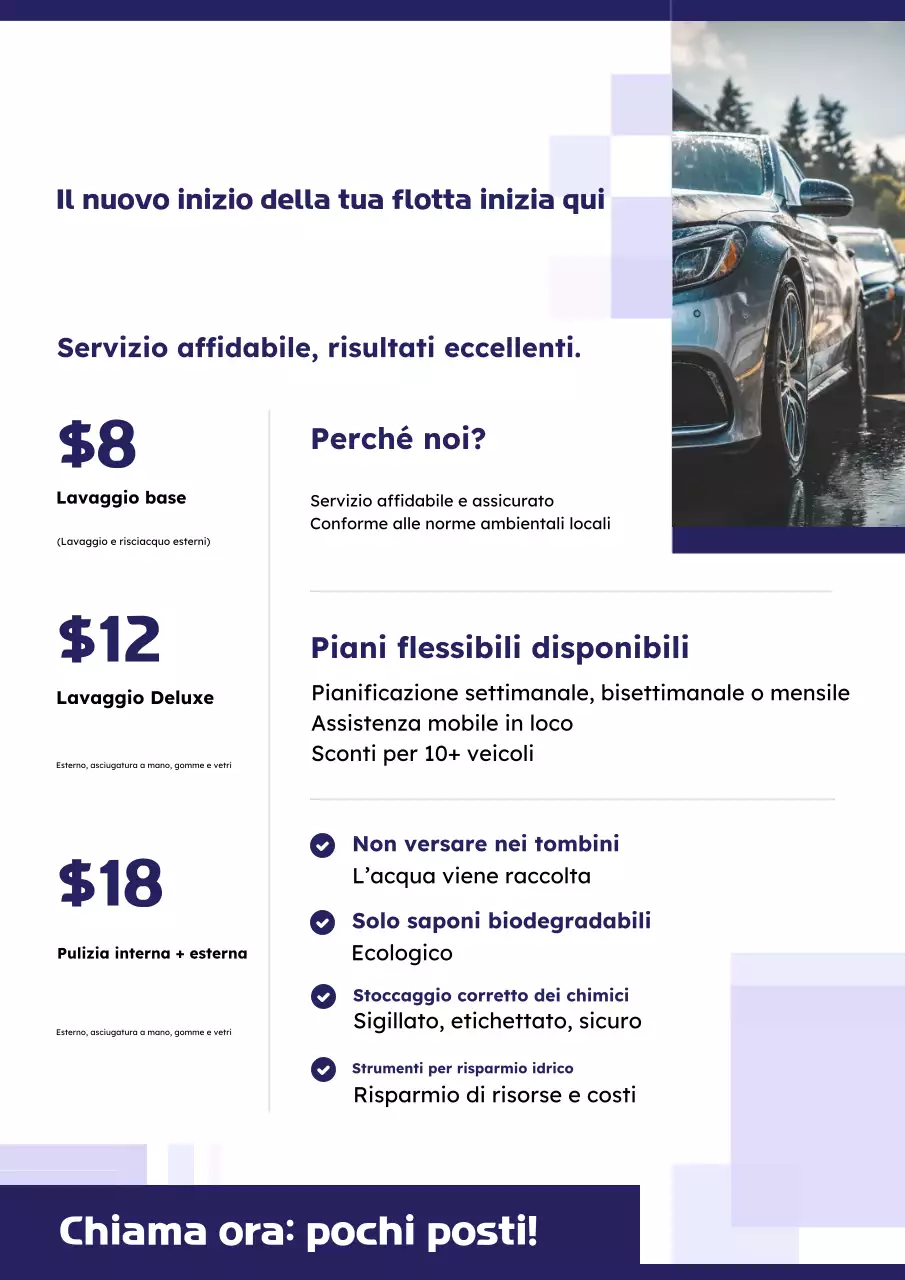 Manifesto di proposta di lavaggio della flotta in viola e verde lime