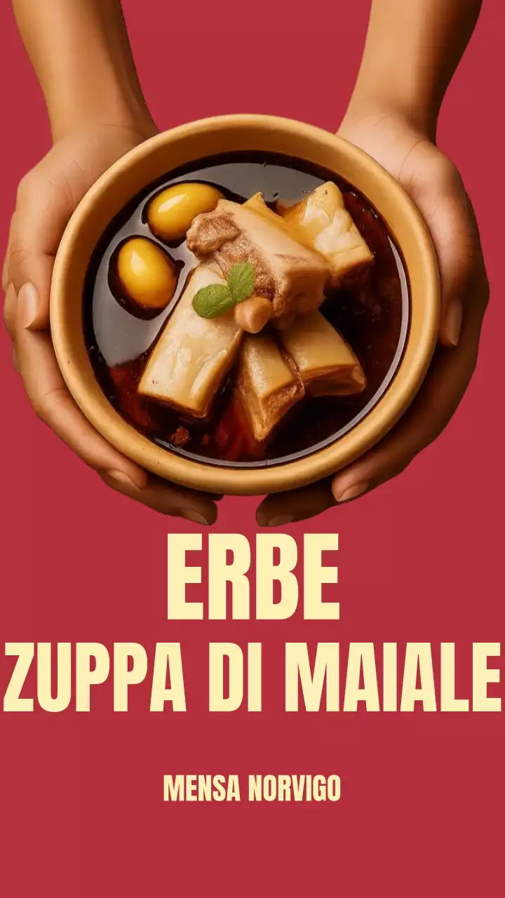Pubblicità della zuppa tradizionale rossa su Instagram