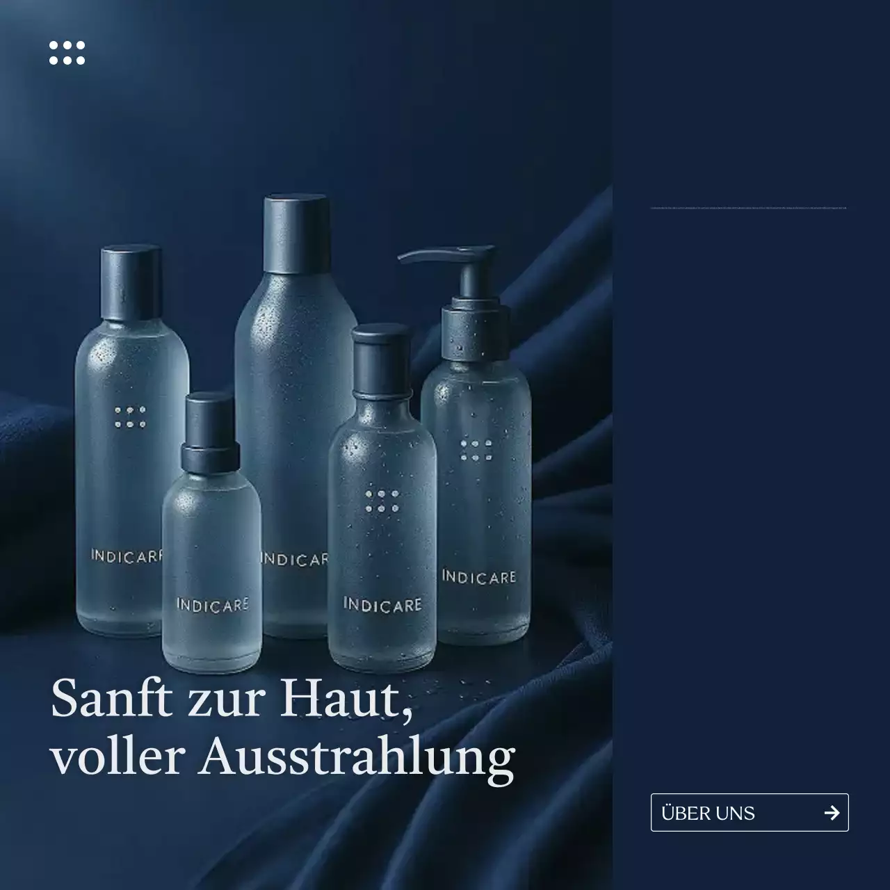 Marineblaue moderne Hautpflegewerbung