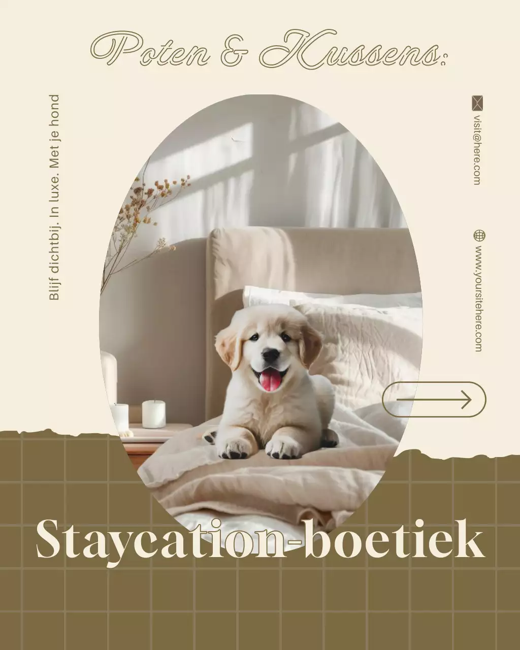Beige en bruine elegante Instagram-post voor promotie van een dierenhotel