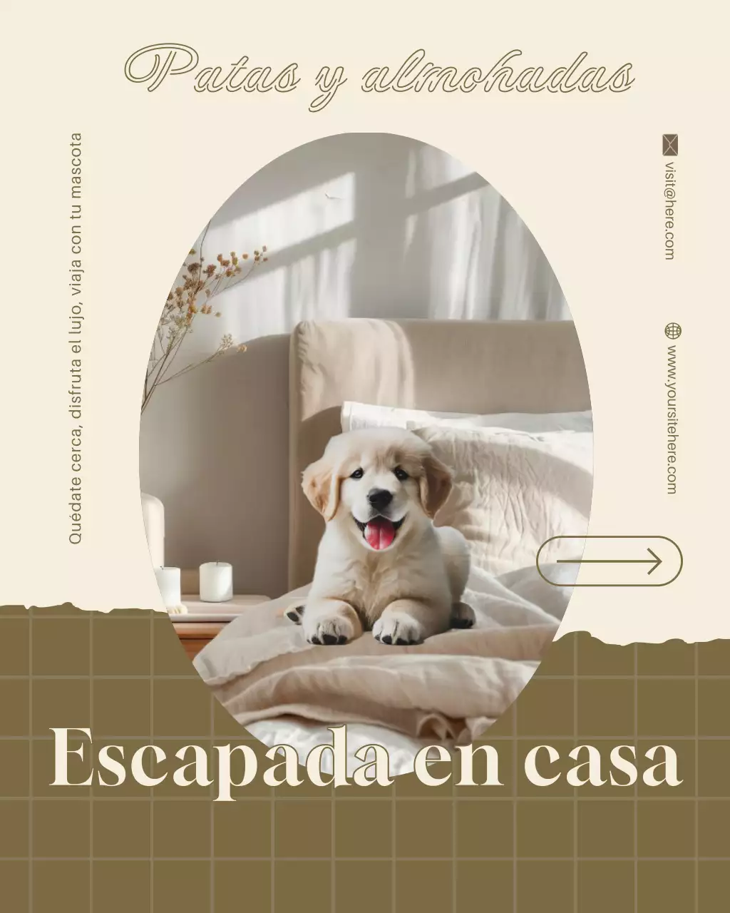 Publicación de Instagram con una elegante promoción de hotel para mascotas en tonos beige y marrón